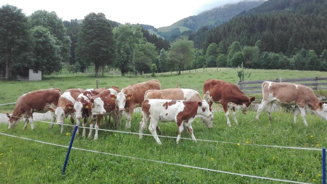 Schiessling Hof Villa Oberndorf in Tirol Eksteriør billede
