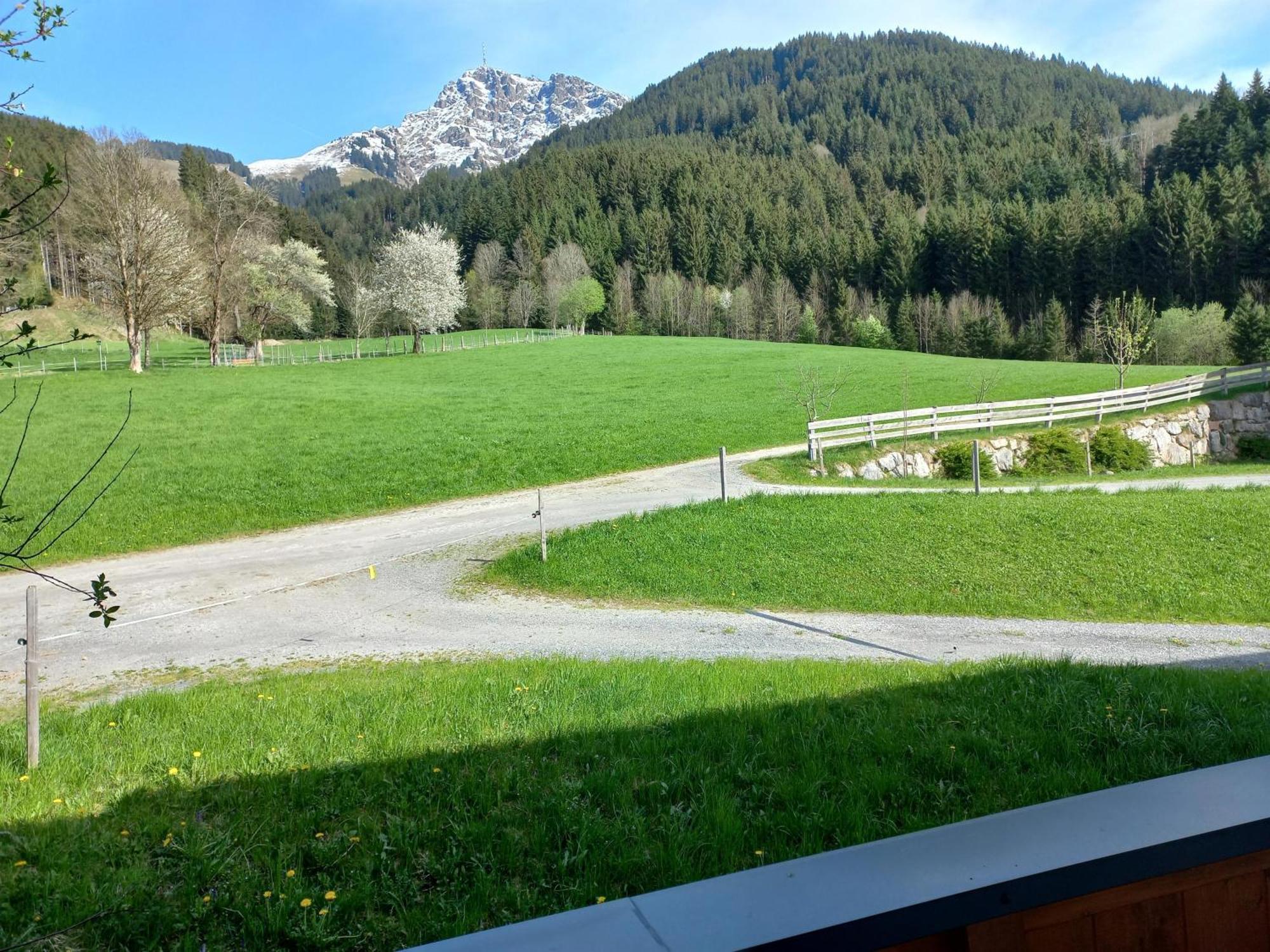 Schiessling Hof Villa Oberndorf in Tirol Eksteriør billede
